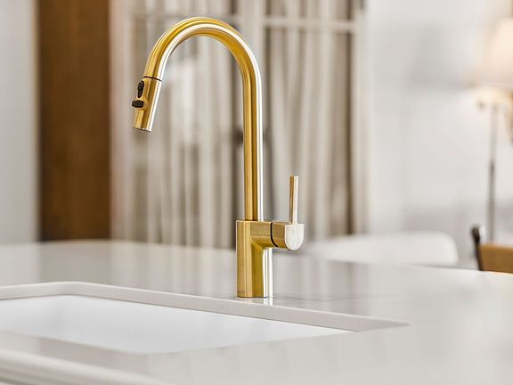 Plan 1601 Modeled - Brushed gold faucets