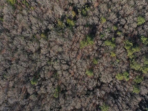 2nd image of 0 County Road 1617