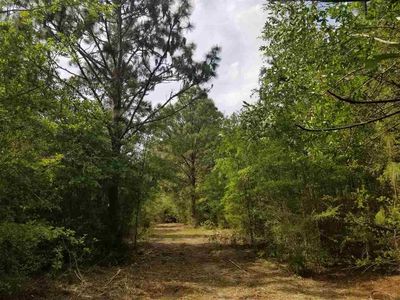 1023 Heathrow Dr, Cantonment, FL, 32533