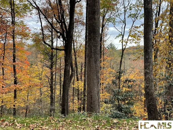 13 GlenCove Drive, Cashiers, NC 28717