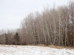 16 4th Ave E, South Haven, MN 55382