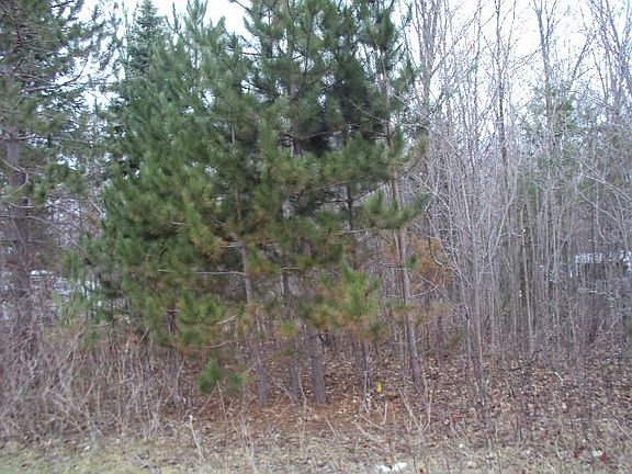 2nd image of 9686 W M 68 Hwy