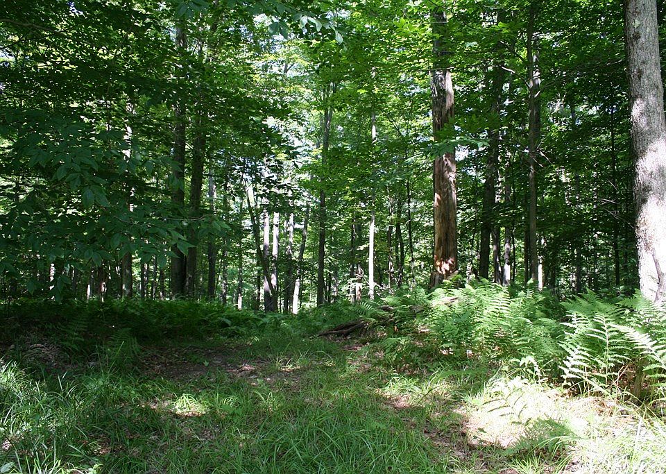 0 Hertenberger Rd, Sabinsville, PA 16943 Zillow