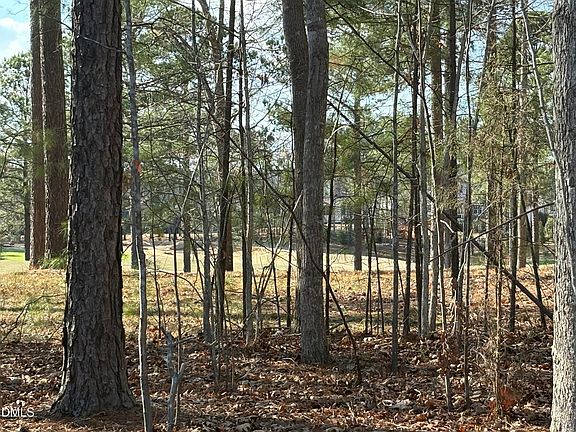 3rd image of 490 Chapel Ridge Dr