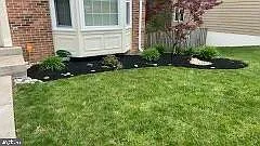 12863 Misty Ln — Photo 3