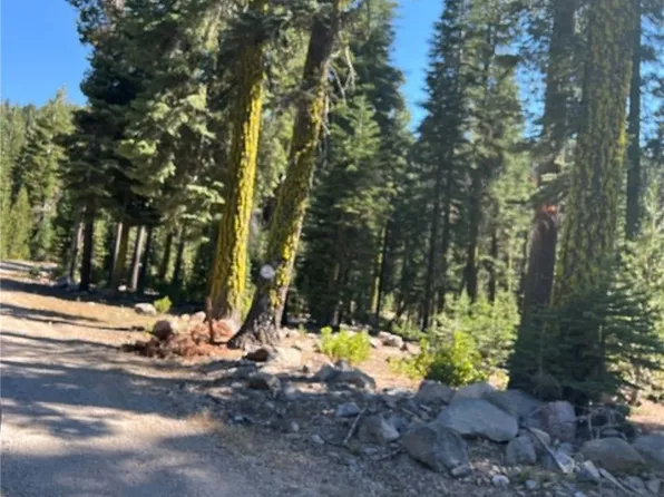 0 Logging Rd, Shingletown, CA 96088