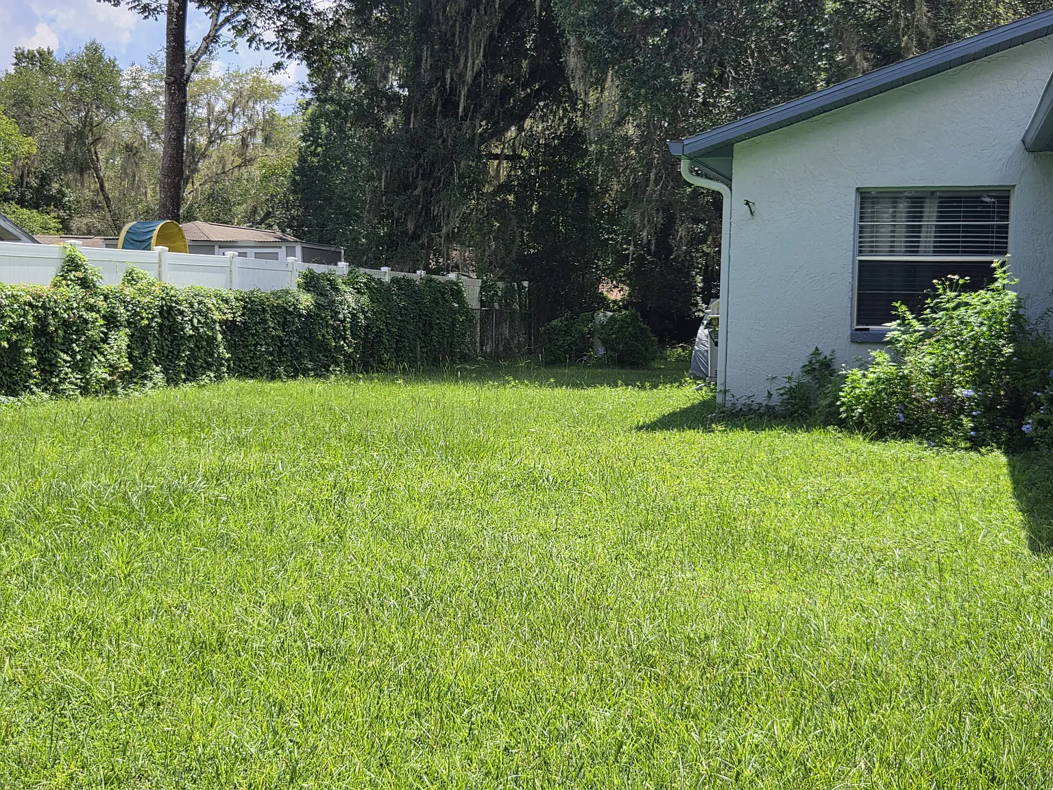 10176 Thayer Street — Photo 4