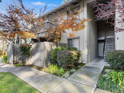 1241 Homestead Ave APT 224, Walnut Creek, CA, 94598