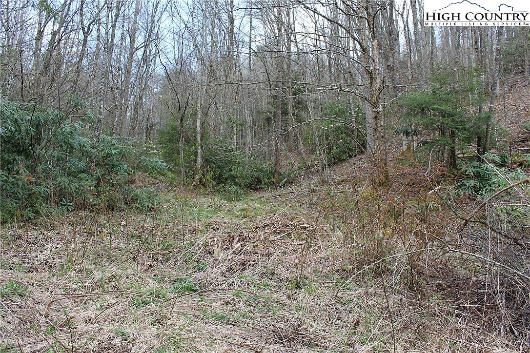 2030 Roaring Fork Road, Creston, NC 28615 Zillow