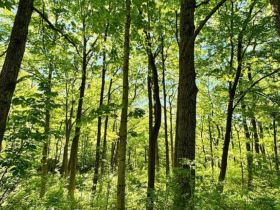 3rd image of 0 Kentucky Ave