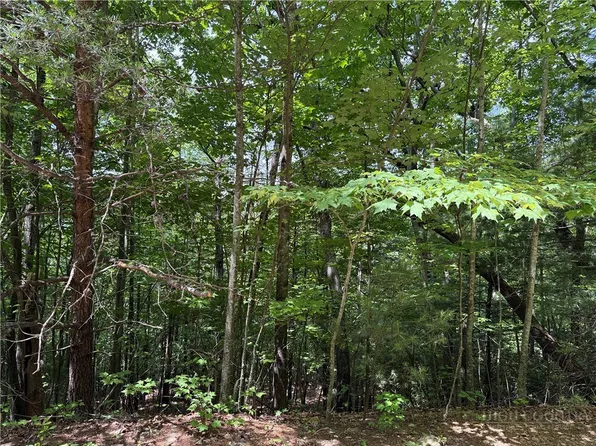 Lot 132A Warren Way Road, Purlear, NC 28665