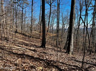 426 Chimney Rock Rd, New Tazewell, TN 37825