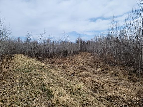 3rd image of Elderwood Rd #80ACRES