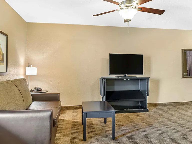 1 Bedroom Suite - 1 Queen Bed