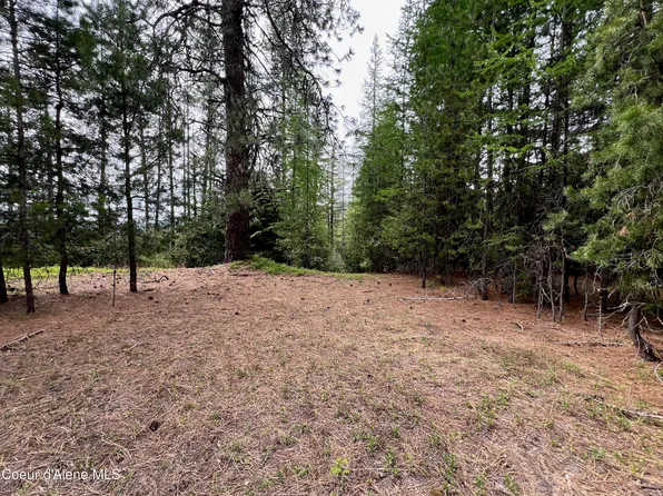 2505 Alpine Dr, Fernwood, ID 83830