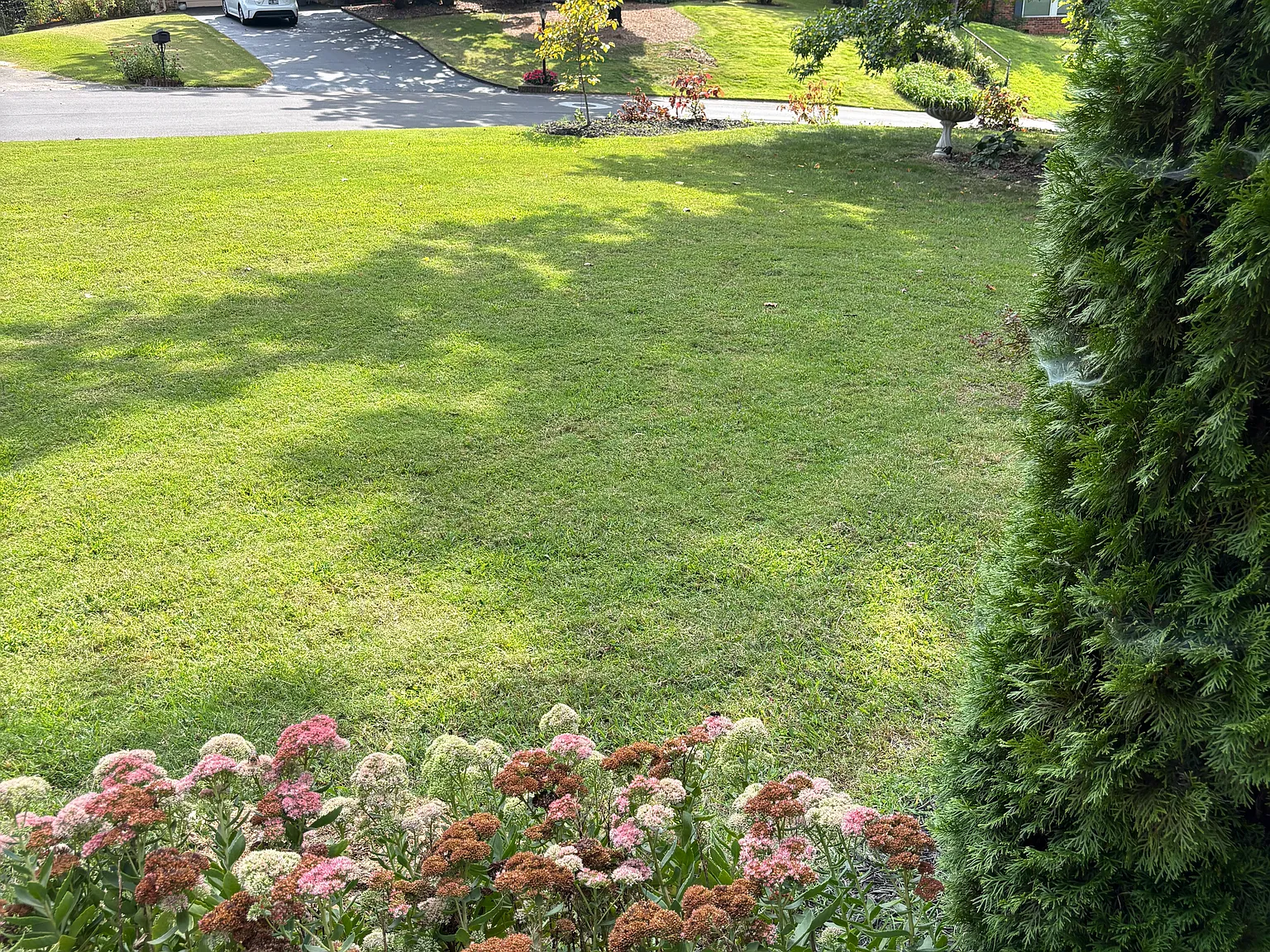 3 bed, 1200 sqft, $2,700 — Photo 4