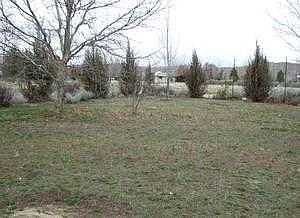 landscaped front yard