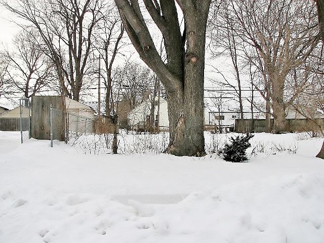2nd image of Hayes Ave