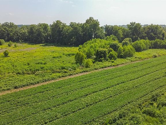 5th image of 2619 County Road 509