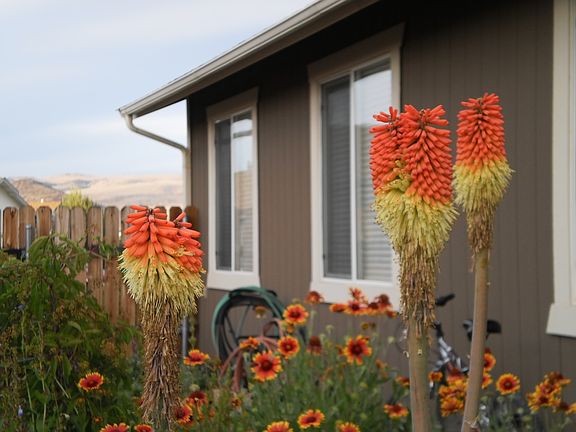 Raised Garden Beds