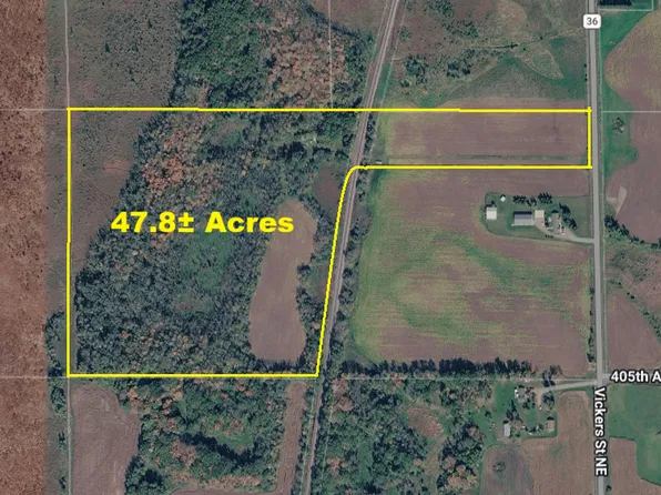40 Vickers St NE, Stanchfield, MN 55080