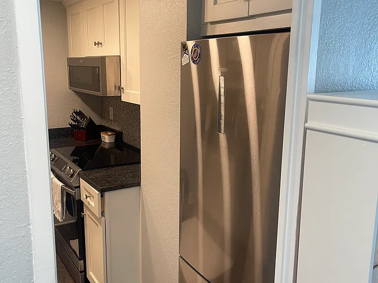 880 Mandalay Ave #N1011 — Photo 11