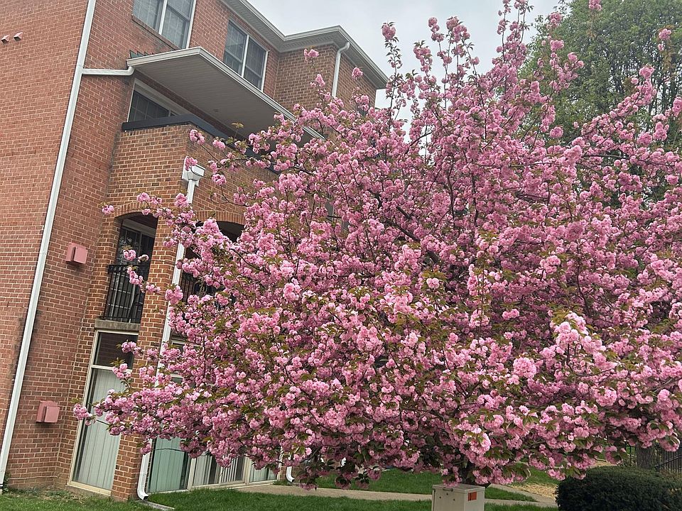 1st image of 6908 Fairfax Dr Unit 104