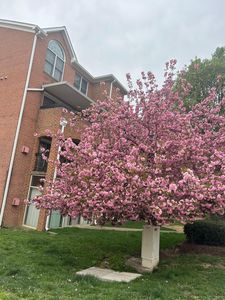 6908 Fairfax Dr UNIT 104, Arlington, VA, 22213