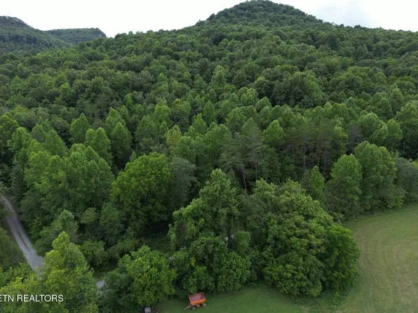 0 Delk Creek Rd, Pall Mall, TN 38577