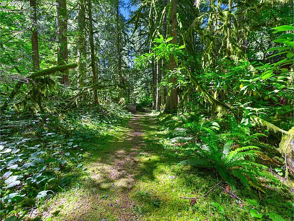 41st image of this home