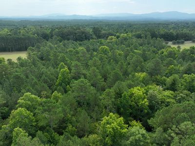 TRACT 13 Mount Pleasant Rd, Dalton, GA, 30721