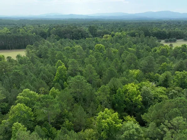 TRACT 13 Mount Pleasant Rd, Dalton, GA 30721