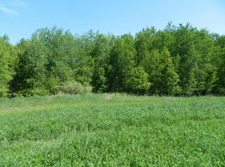 E Monroe Rd, Walkerville, MI 49459