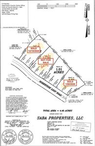 628 Robertson Loop Rd Tract 1B, Clarkesville, GA, 30523