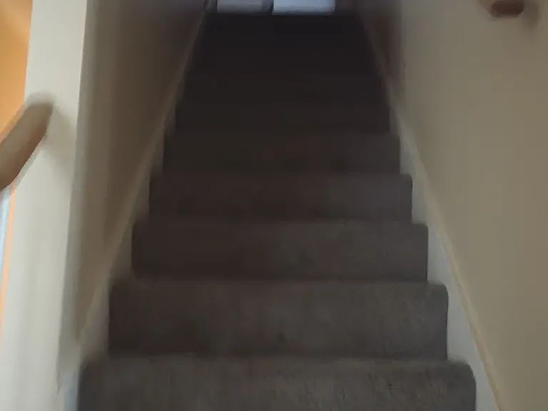 Stairs with new carpet leading to Bonus Room/Attic