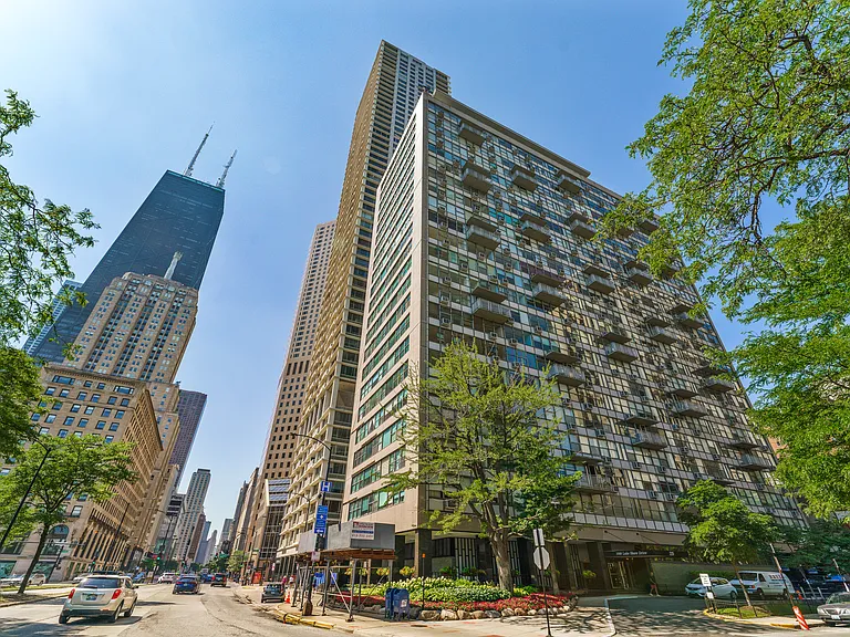 1000 N Lake Shore Dr #503 — Photo 1