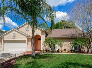 2602 Freeland Dr, Valrico, FL 33596