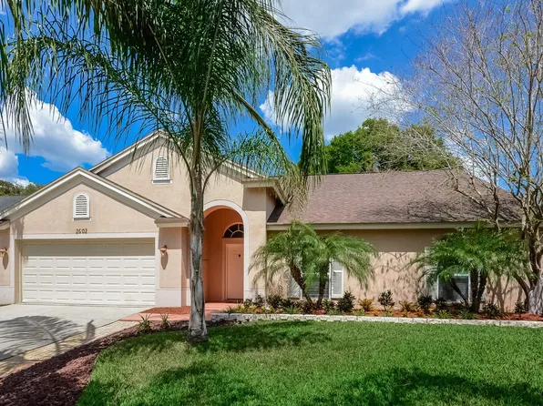2602 Freeland Dr, Valrico, FL 33596