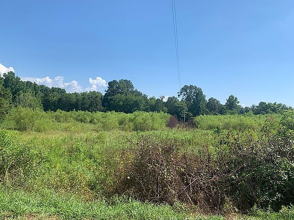 5th image of LOT 1 County Road 750
