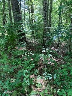 5th image of 0 Hickory Hollow Rd Lot 135-6