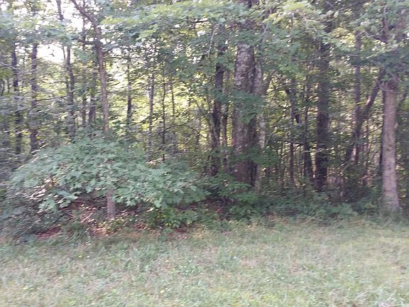 4th image of LOT 6 Indian Trl