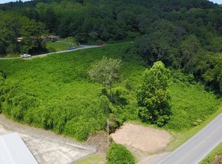 743 Toccoa Ave, Mineral Bluff, GA 30559