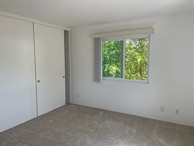 2806 Cacatua St #C — Photo 9