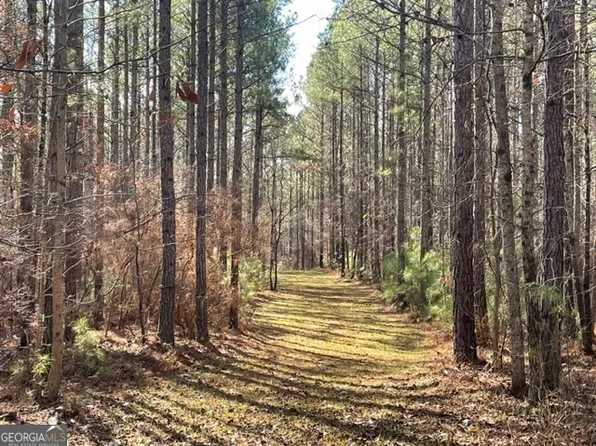 0 Banning Rd, Whitesburg, GA 30185