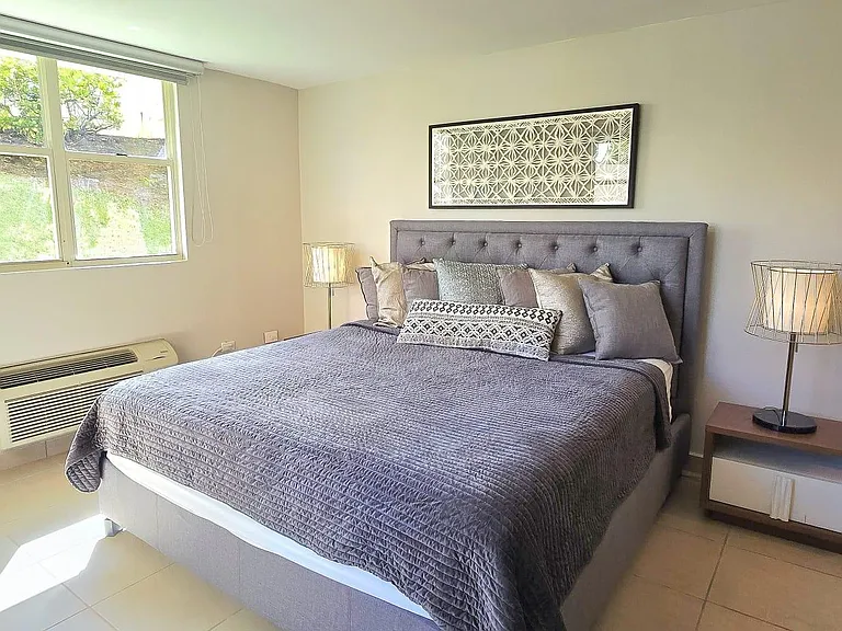 116 Calle Andalucia Apt Aguadilla Pr — Photo 27