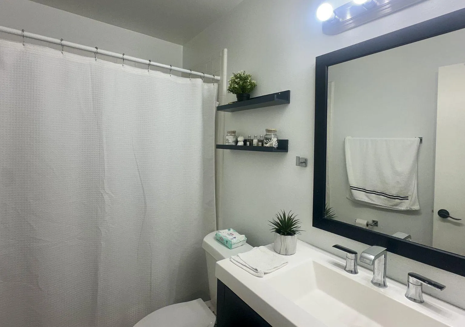 2 bed, 1.0 bath, 1270 sqft, $1,048 — Photo 2