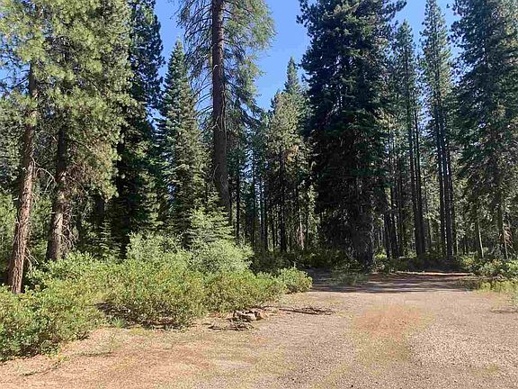 3rd image of 4.63 ACRES Medicine Lake Rd