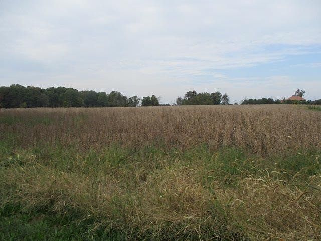2nd image of 0 W Spicerville Hwy