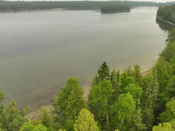 S Jones Lake Rd, Drummond Island, MI 49726