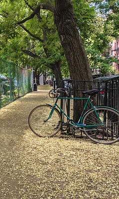 Rented by Sky Management | media 21